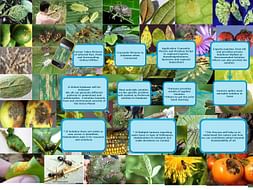 I am fundraising to Build Smart Phone Based Farm and Allied vertical Solutions App