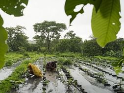 Help enhance the incomes of farmers