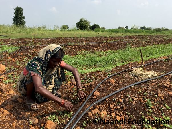 I am fundraising to help bring sustainable incomes to the farmers of Vidarbha through Mahindra’s #SeedTheRise initiative