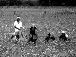 Fundraising to support our farmers since this is our responsibility