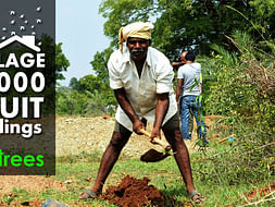 I am fundraising to help farmers with sustainable income through tree plantation