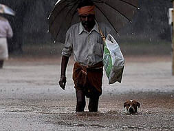 Fundraising to help the flood affected survivors in Chennai. Every support counts!