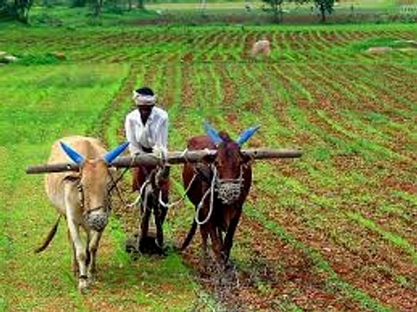 I am fundraising to start organic fertilizers industry and profit will be utilized to educate people about organic farming.