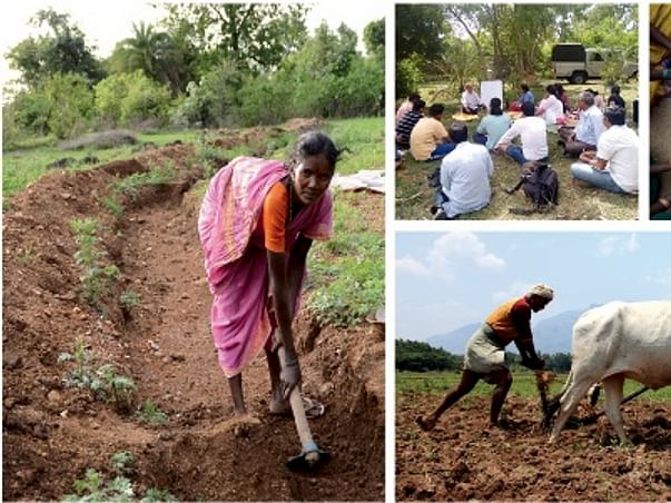 Support the National Permaculture Convergence - Feb 2016 Hyderabad India