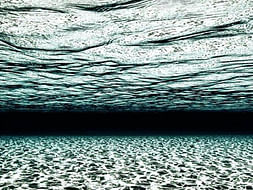 I am fundraising for the sea