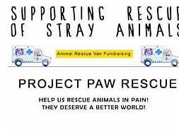 I am fundraising for a rescue van for stray animals in Delhi