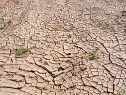 Bring relief to drought affected regions of Maharashtra