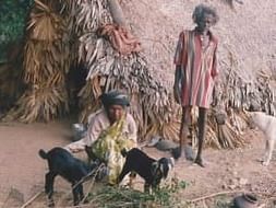 Support Livelihood activities of Tribal Women