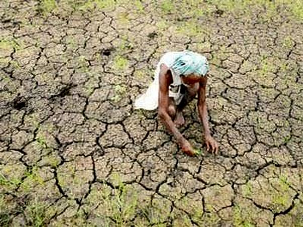 Help a farmer, he brings food to your table