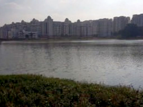 Bengaluru Marathon: Munnekolalu Lake Cleanup, Brookfield