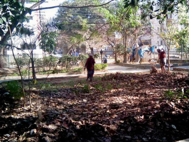 Bengaluru Marathon: Shredding and composting of leaves in HSR Layout