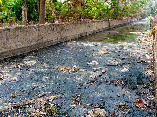 Bengaluru Marathon: Restoration of Chellakere Lake
