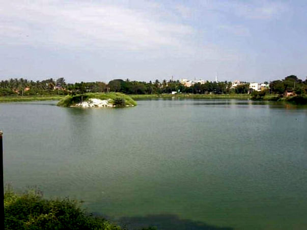 Bengaluru Marathon: Restoration of Madiwala Lake, BTM Layout