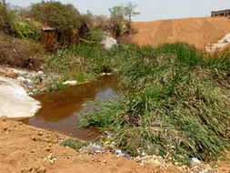 Peace Ride: Rejuvenate the park & pond ecosystem in Gubbalala