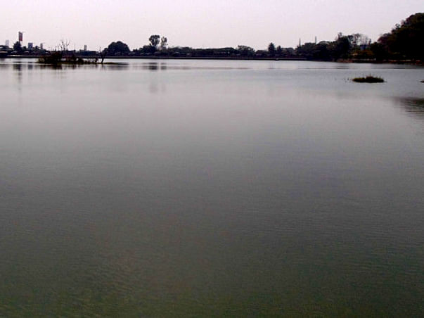 Peace Ride: Restoration of Sankey Tank, Malleshwaram