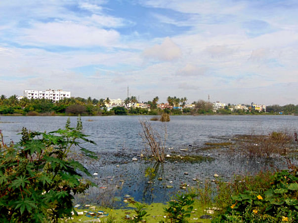 Peace Ride: Restoration of Horamavu Lake, KR Puram