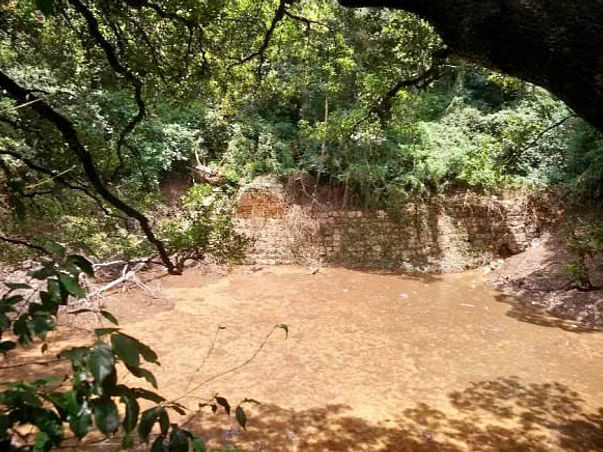 Peace Ride: Rejuvenation of Patalaganga Pond