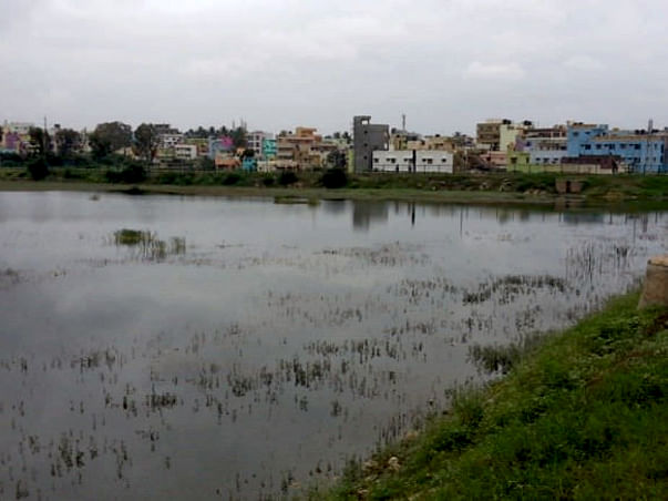 Bengaluru Marathon: Devasandra Lake Rejuvenation, K.R.Puram
