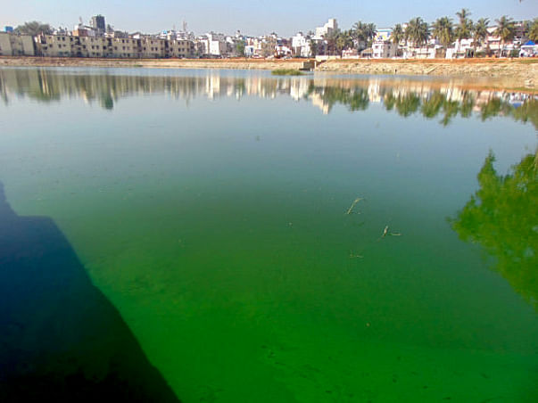 Peace Ride: Restoration of Byrasandra Lake, Jayanagar
