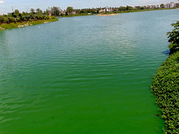 Peace Ride: Restoration of Allalasandra Lake