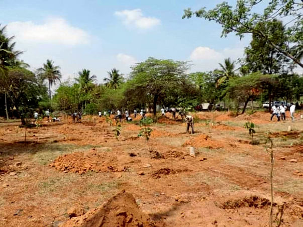 Peace Ride: Improving green cover in HSR Layout