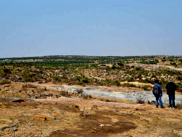 Peace Ride: Improve Green Cover in Chintamani