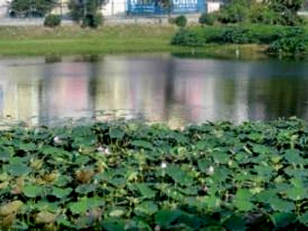 Peace Ride: Lake Restoration, Uttarahalli