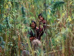 SAVE HEMP FARMERS Of HIMALAYA