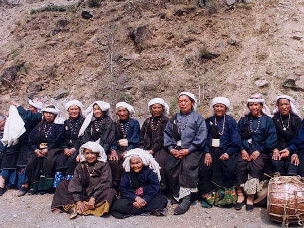 Chipko Rebound
