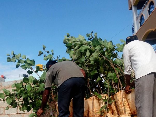 Help us plant 10 lakh trees around Bangalore