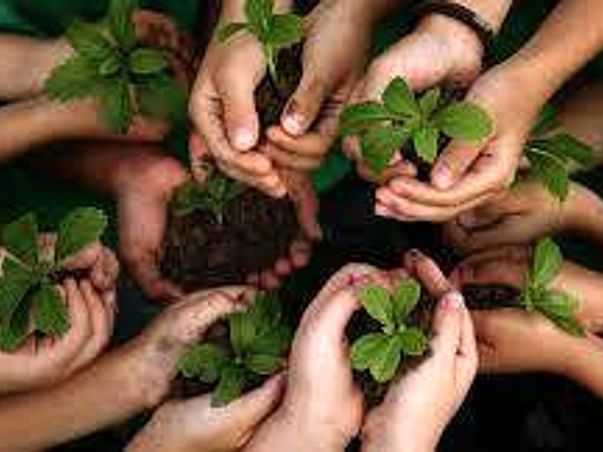 Let's plant a tree on this children's day