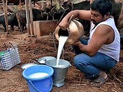 Rural empowerment through Dairy Development!