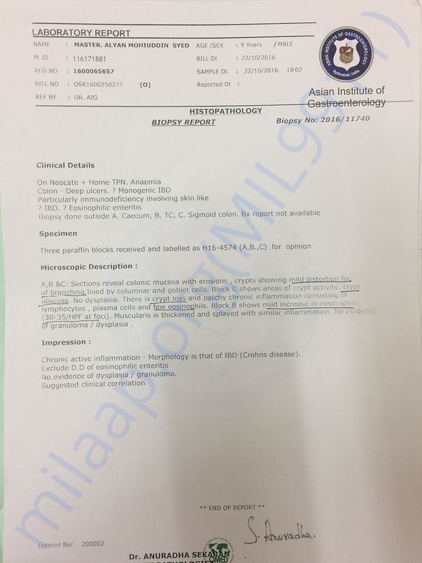 Colonoscopy Biopsy Report