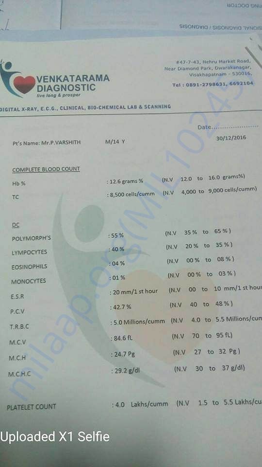 REPORTS