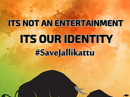 Supporting people who are in the Marina beach to save our culture