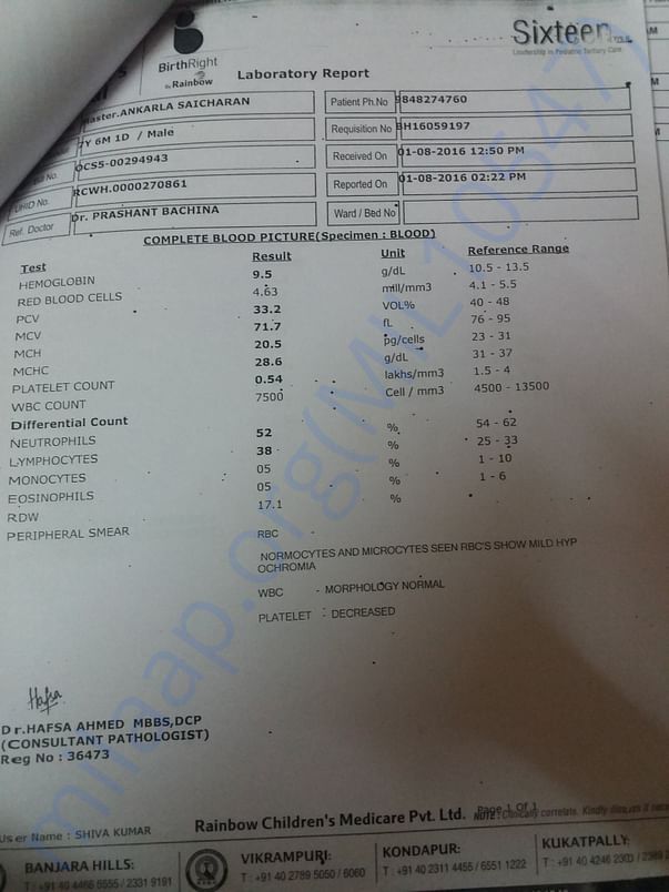 laboratory report