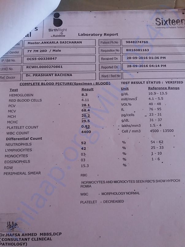 laboratory report