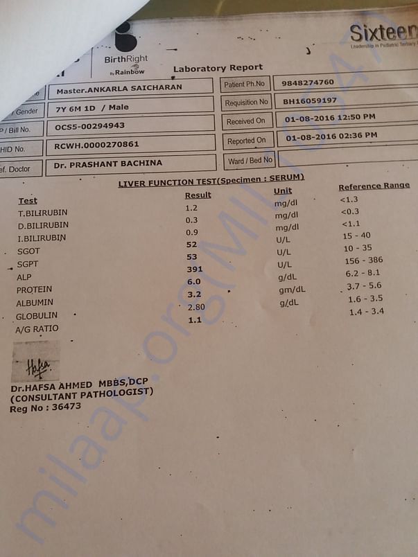 laboratory report