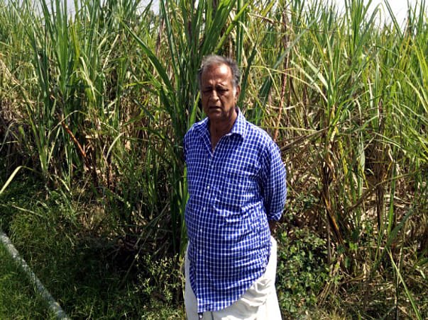 Help Farmer / Diarist Mukundan To Revive Native Indian Bulls