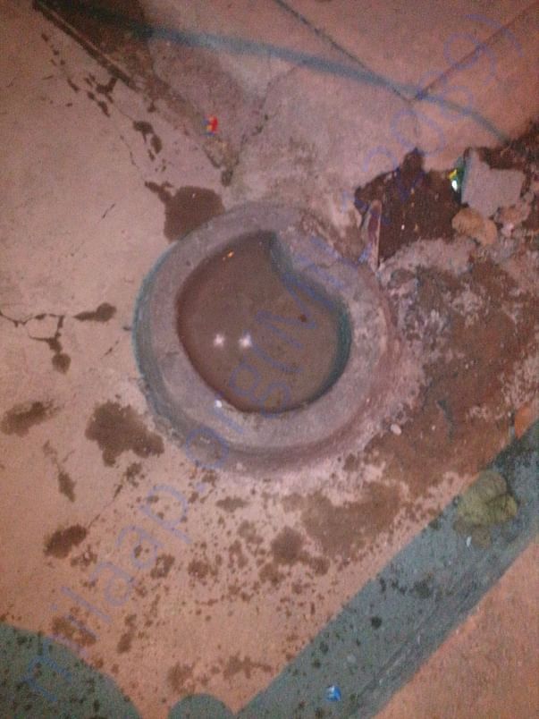 New water bowls made for summer