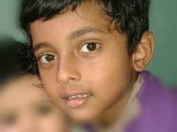 Help Mithilesh for Liver Transplant