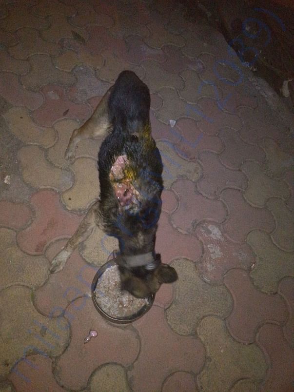 Holi Burns case being treated on the spot