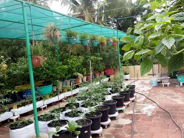Urban farming initiative for Roof-Tops with solar pannels