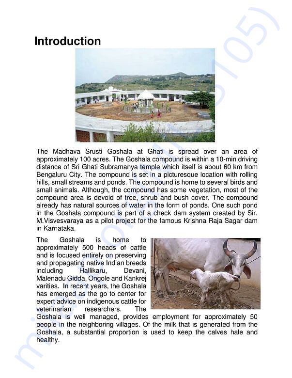 Project Report Page 2