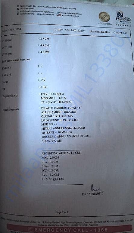 Echo report Page 2