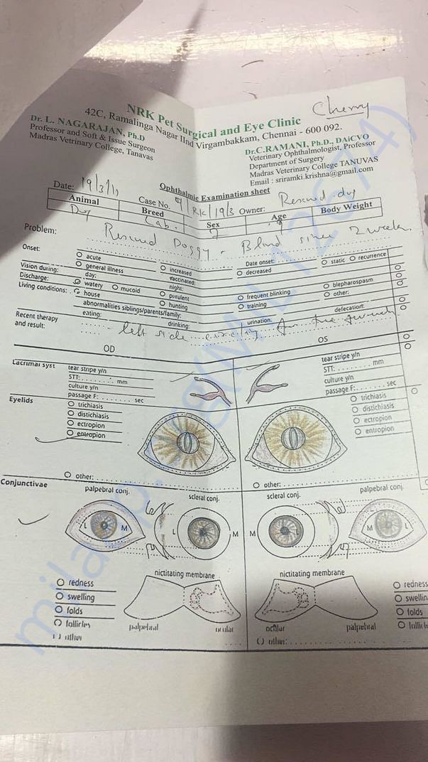 Doctor's prescription