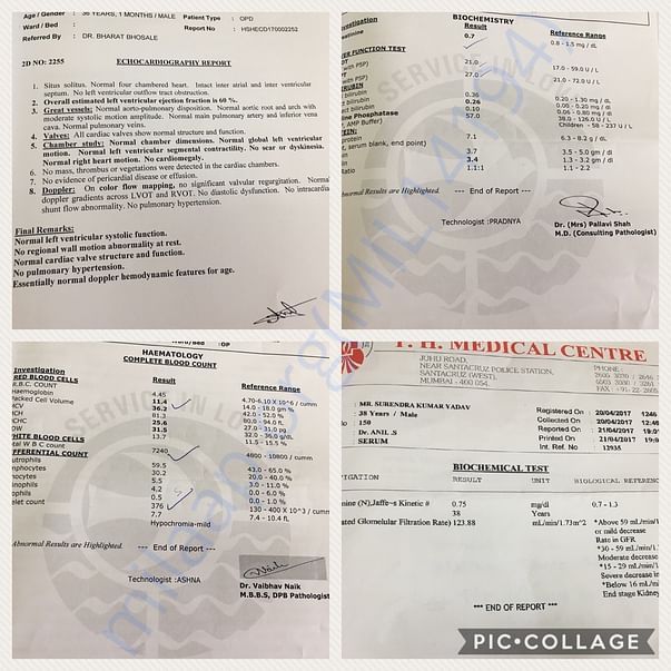 Various reports
