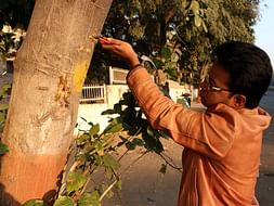 Being Energized for Saving Trees (BEST)