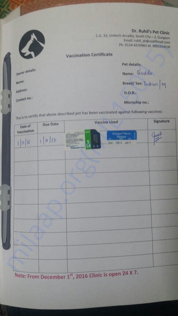 Guddu Vaccination details