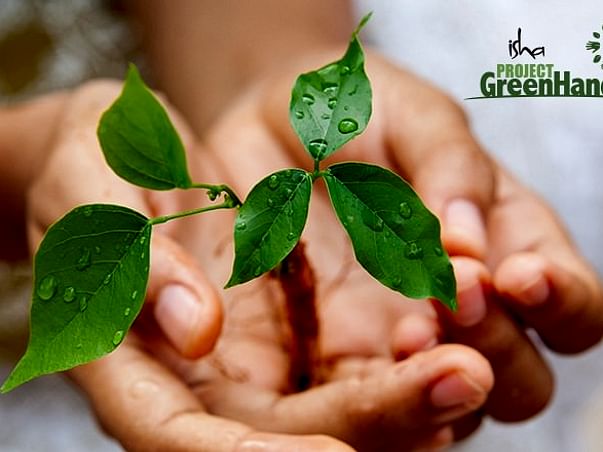 Offset your carbon footprint this World Environment Day